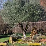Le Petit Mas Dordogne * Veyrines-de-Vergt