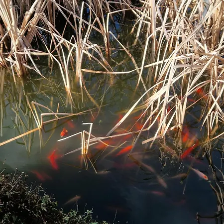 Lägenhet Le Petit Mas Dordogne Veyrines-de-Vergt
