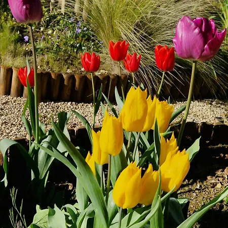 Le Petit Mas Dordogne Lägenhet Veyrines-de-Vergt