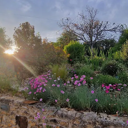 Le Petit Mas Dordogne Veyrines-de-Vergt