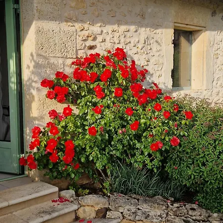 Le Petit Mas Dordogne Appartamento Veyrines-de-Vergt