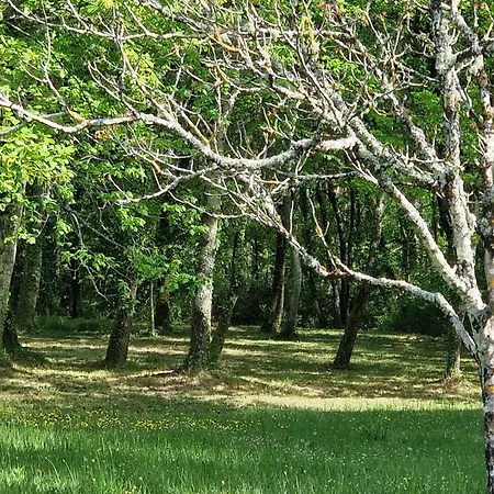 Le Petit Mas Dordogne Appartamento Veyrines-de-Vergt