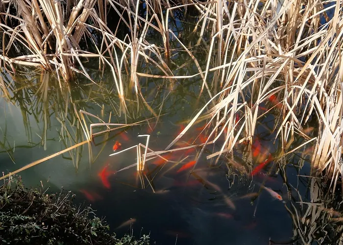 Apartman Le Petit Mas Dordogne Veyrines-de-Vergt